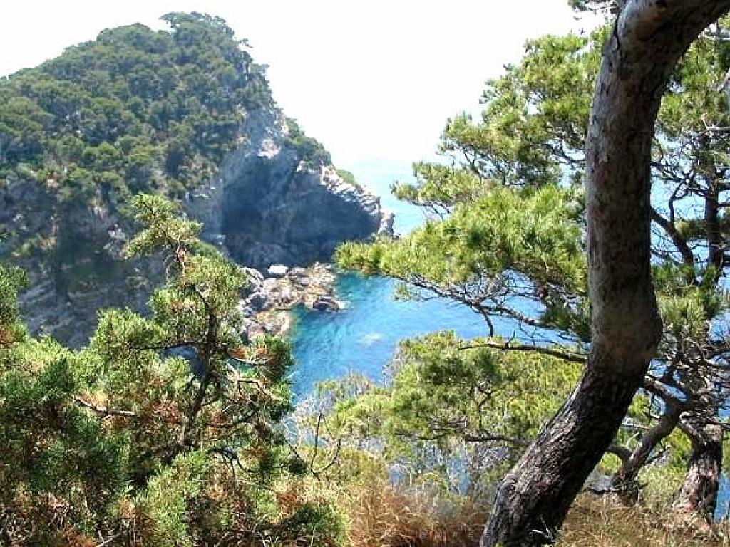 183 D20 PRESQU ILE DE GIENS 3_000013.jpg